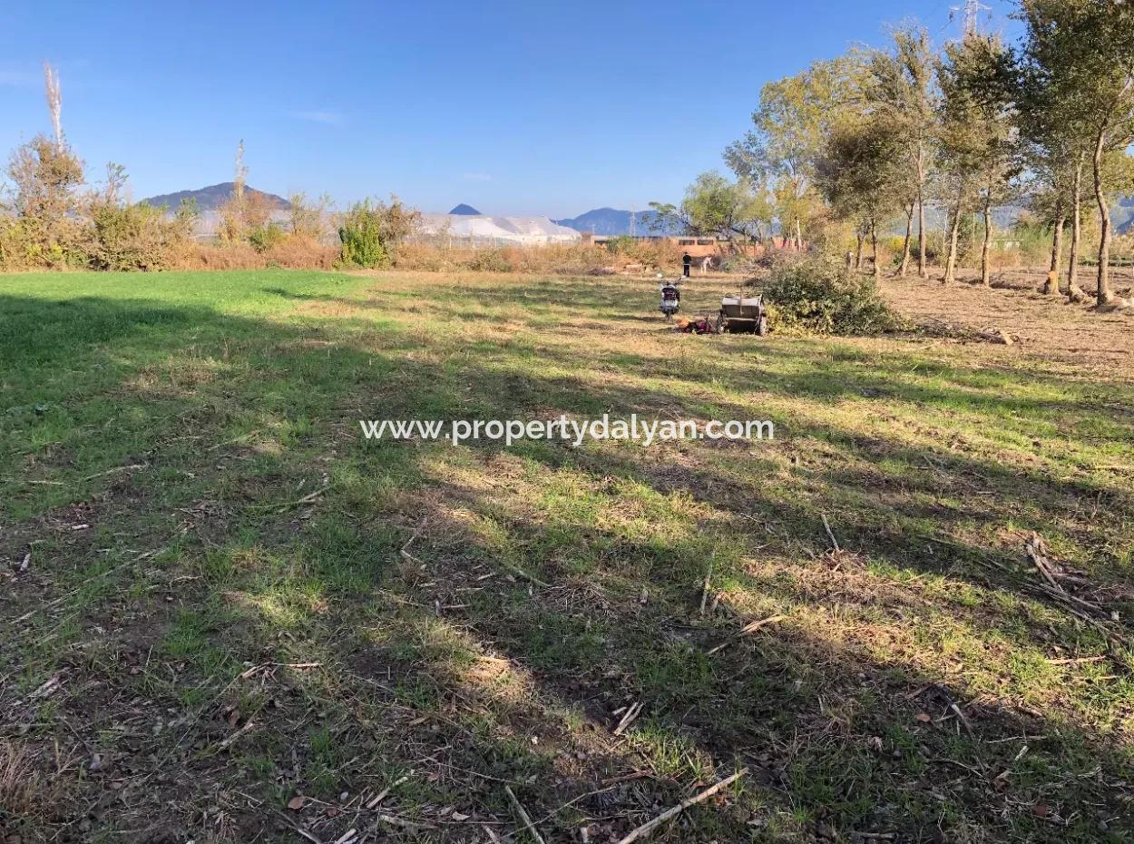 Land For Sale In Dalyan 2540M2