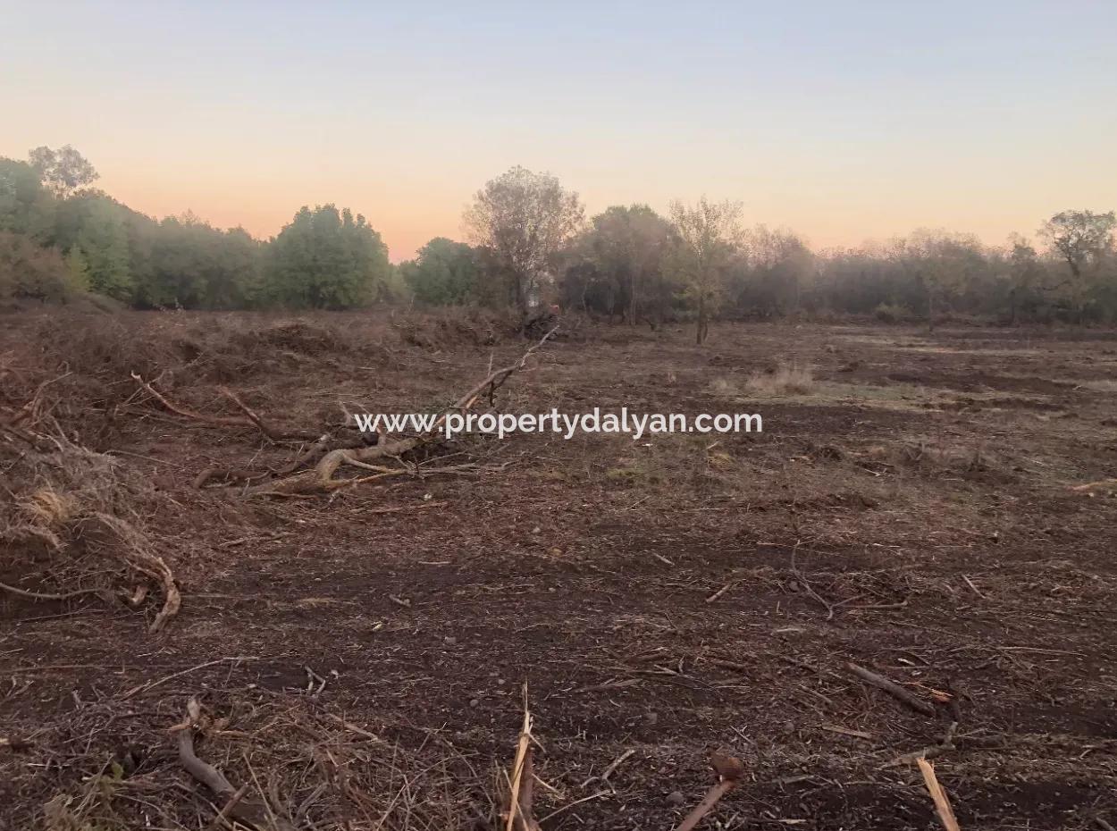 Sultaniye Land For Sale Near 10577M2 Lake Land For Sale
