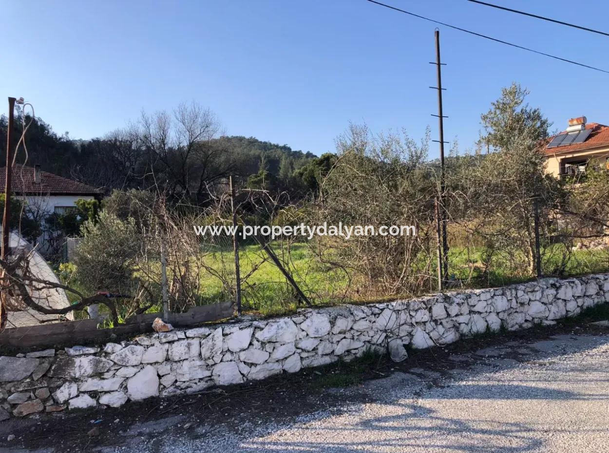 777M2 Land For Sale In Ula Sarayyanı