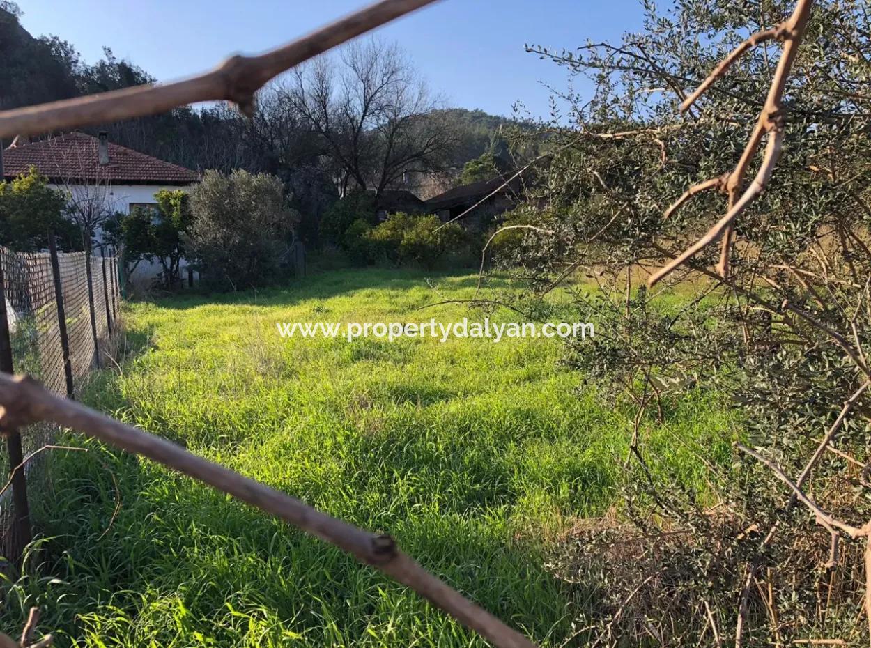 777M2 Land For Sale In Ula Sarayyanı