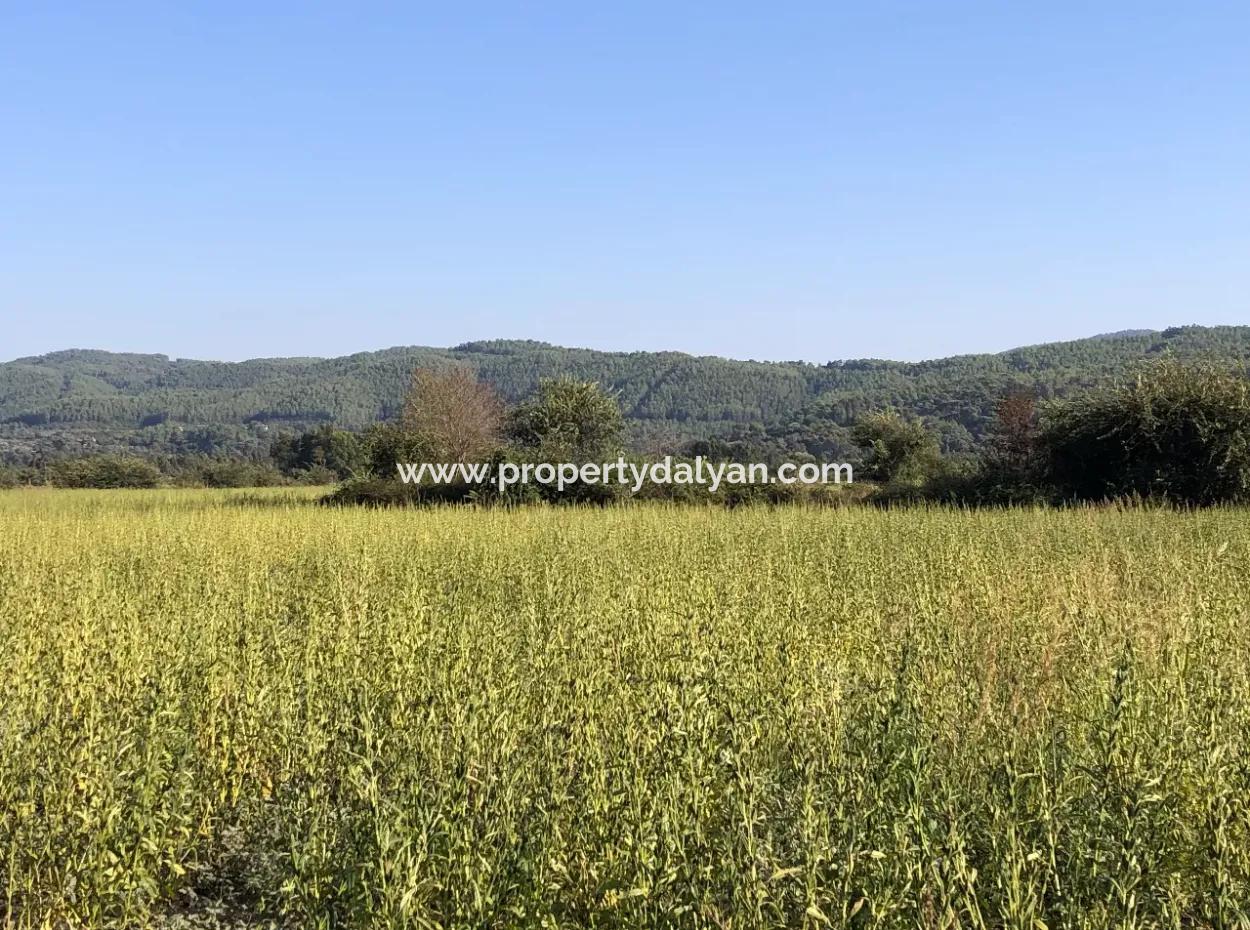 For Sale In Akçapinar 100 Acres For Sale