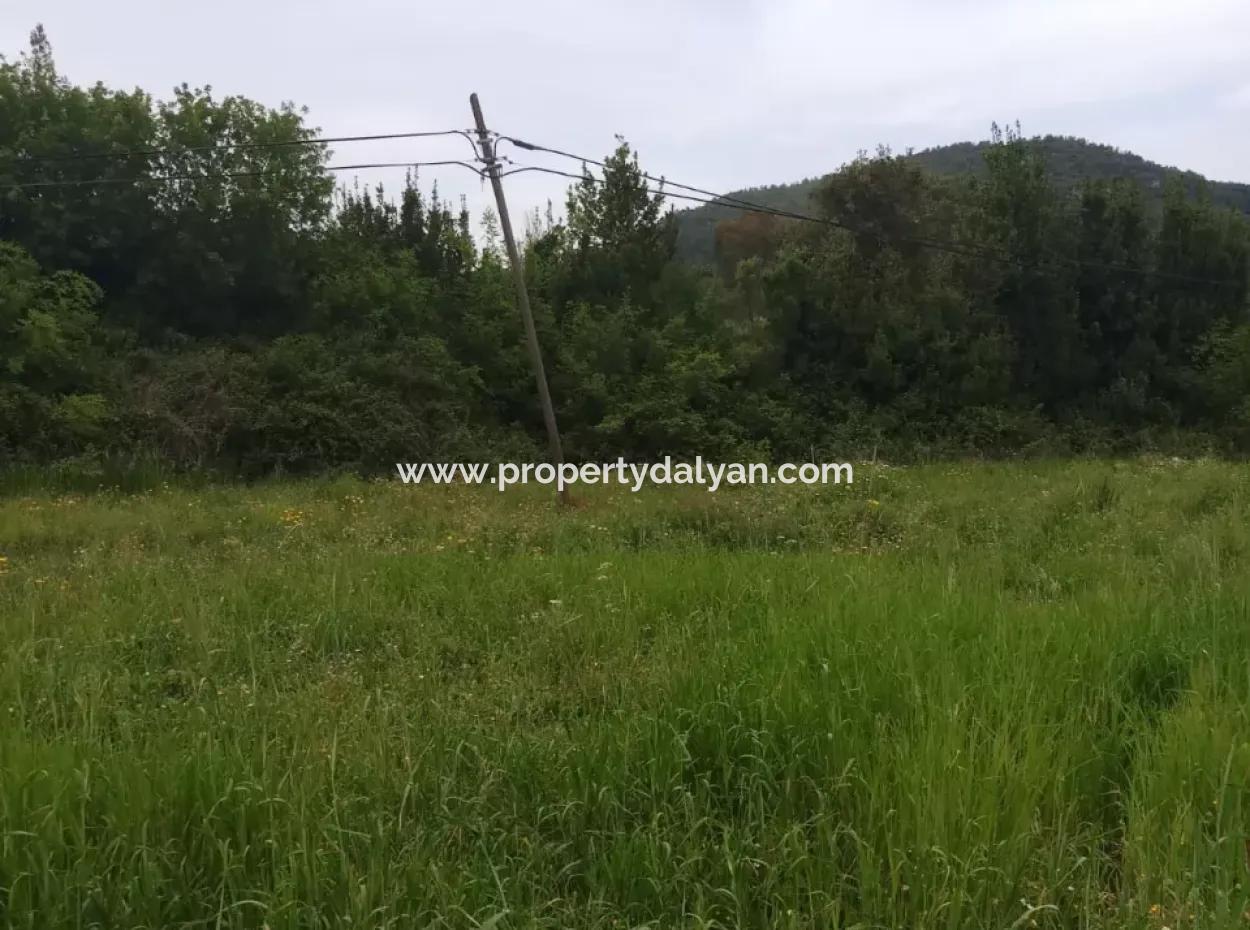 Land For Sale In Çamlida