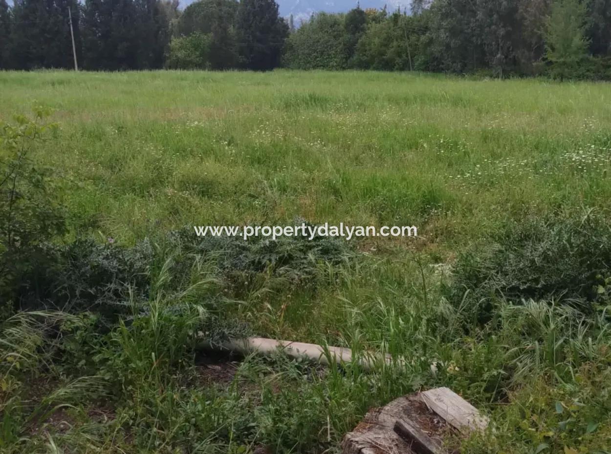 Land For Sale In Çamlida