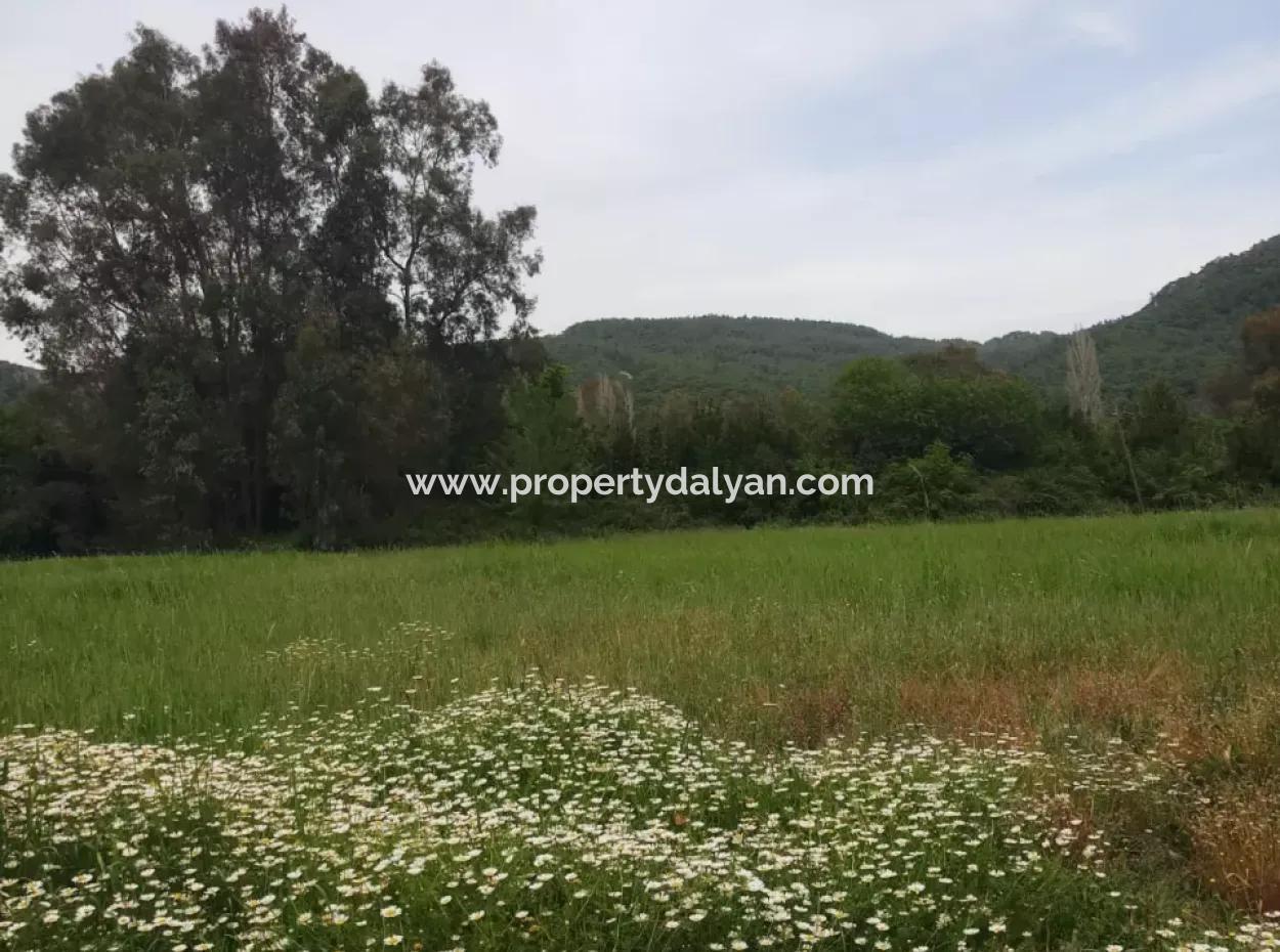 Land For Sale In Çamlida