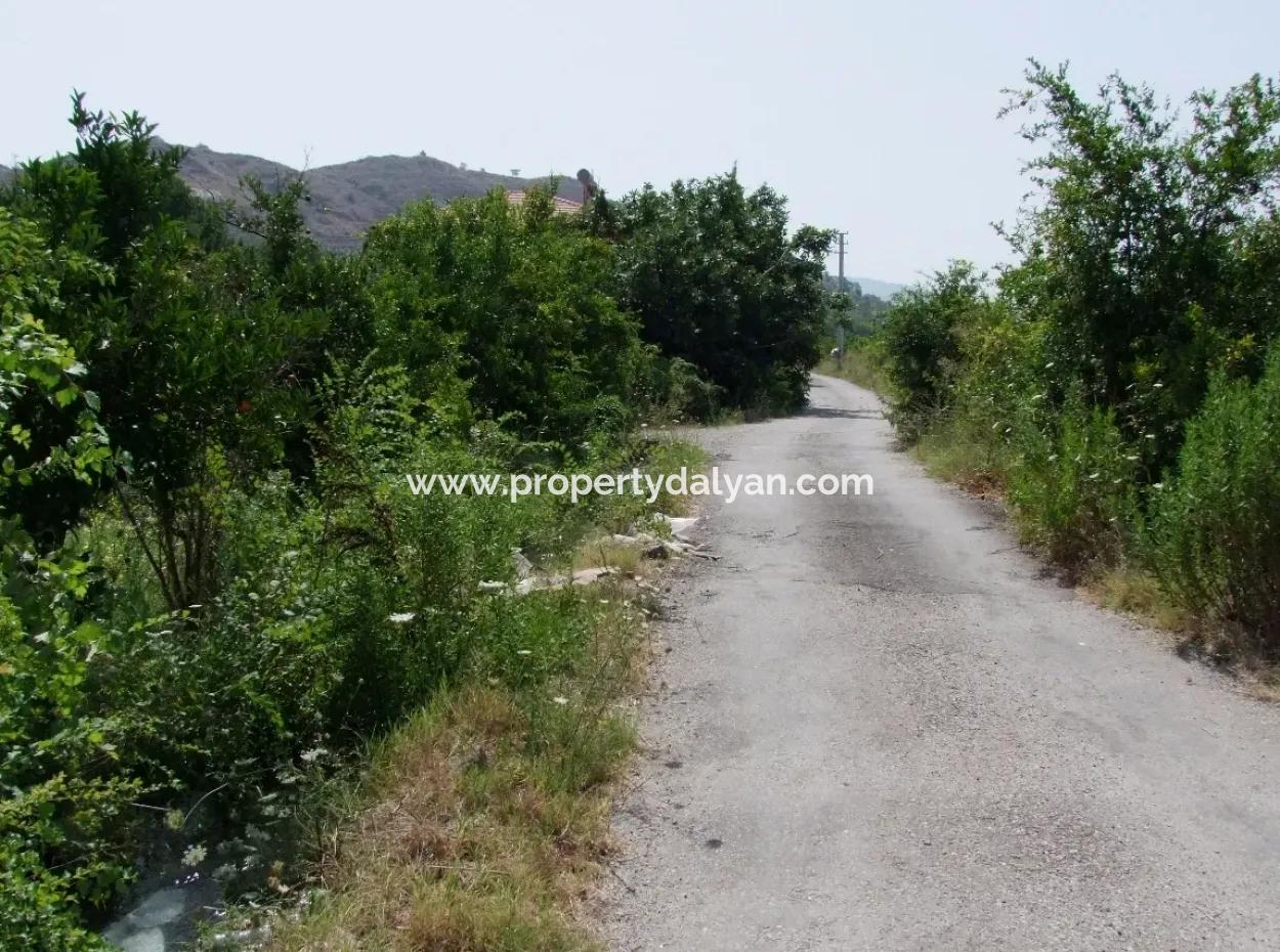 Land-Plot For Sale For Sale In Oriya Yerbele 750M20