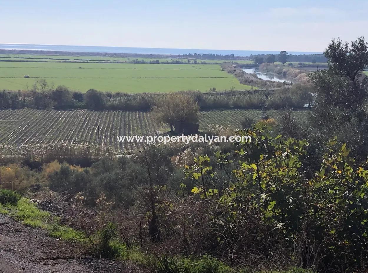 Land For Sale With Sea View Of Fevziye