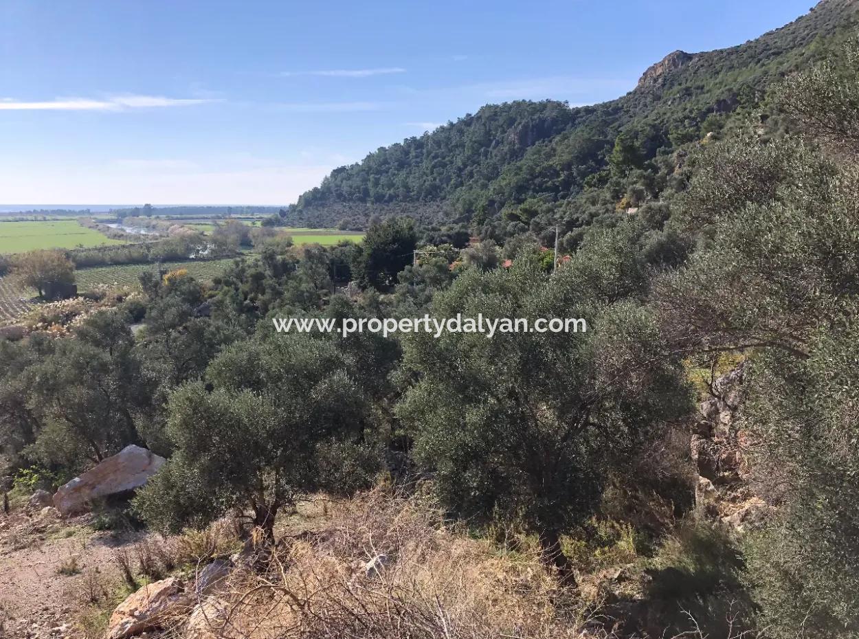 Land For Sale With Sea View Of Fevziye