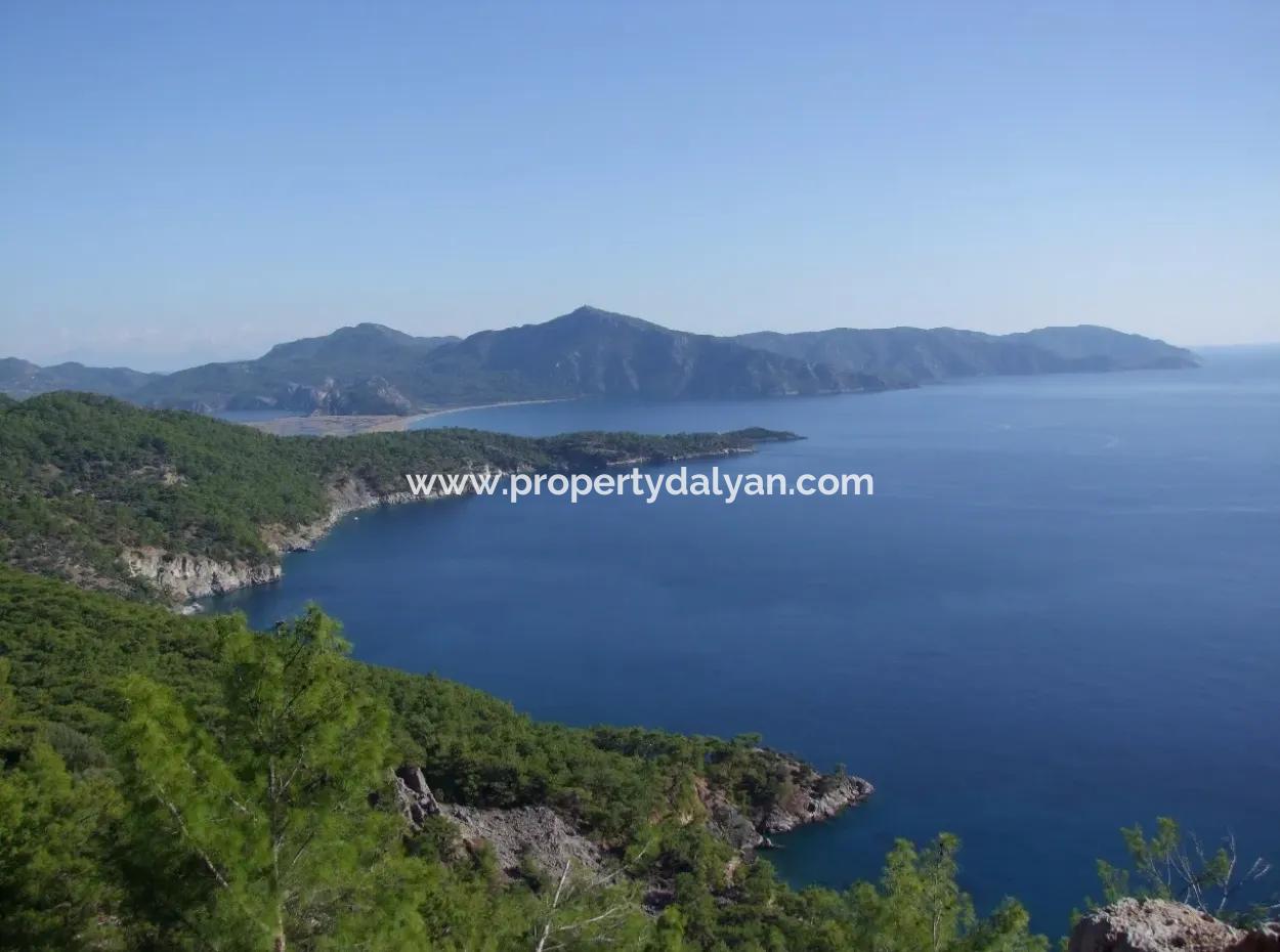 Real Estate Bargain Plot For Sale With Sea Views In Çandır Call In Ekincik