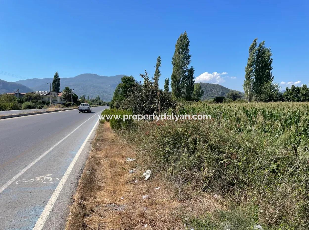 Dalyan Main Road Zero Land For Sale 8115M2 Commercial Land For Sale