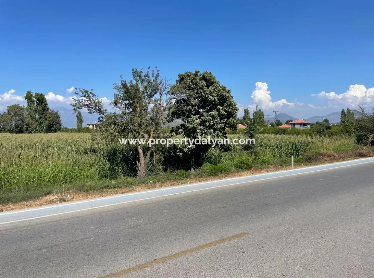 Dalyan Main Road Zero Land For Sale 8115M2 Commercial Land For Sale
