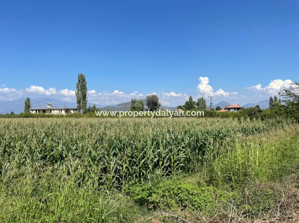 Dalyan Main Road Zero Land For Sale 8115M2 Commercial Land For Sale
