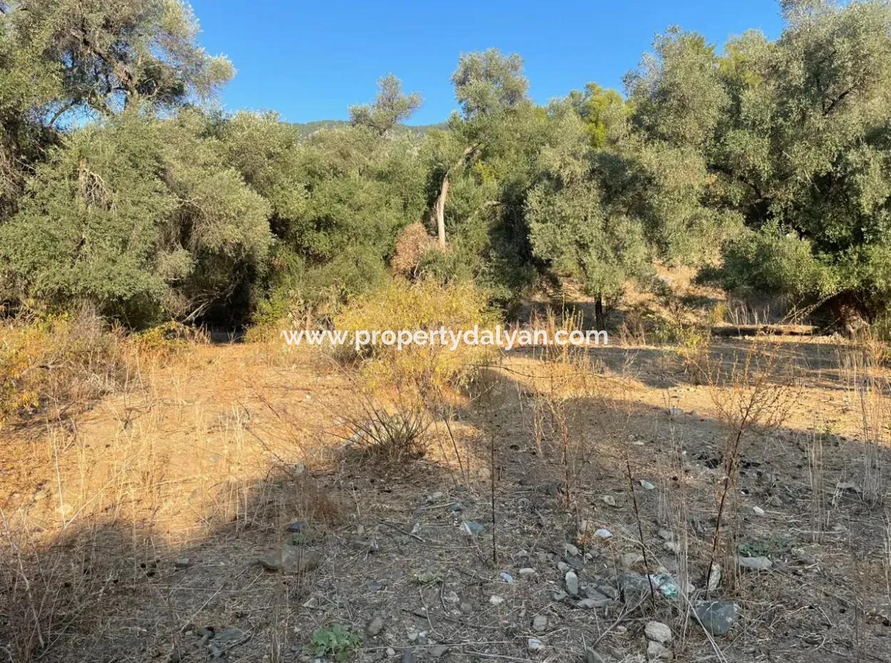 Çandir 3,800M2 Land For Sale