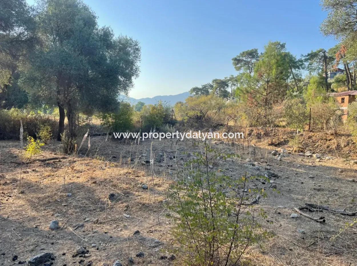 Çandir 3,800M2 Land For Sale