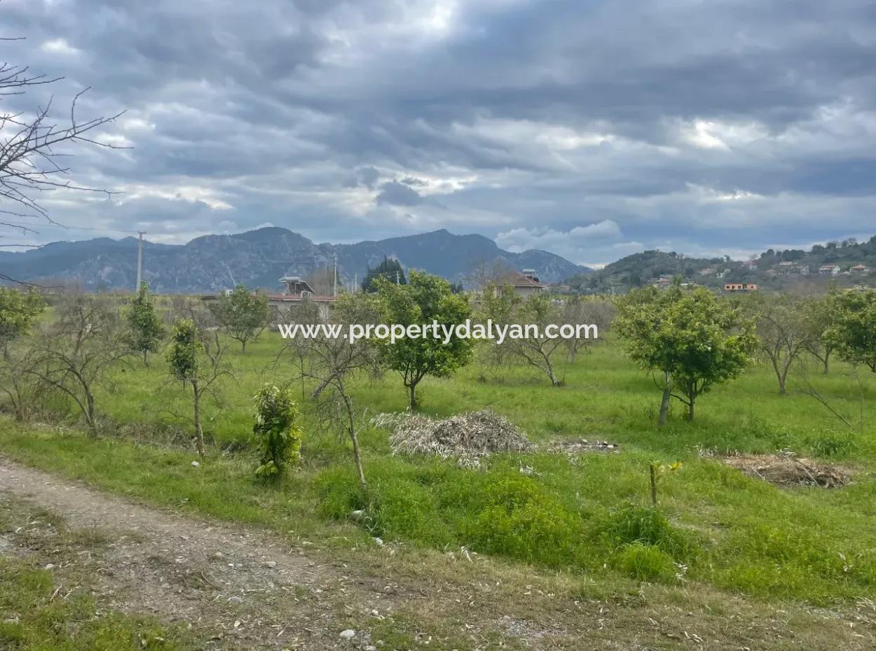 Dalyan Boutique Hotel For Sale Bungolevler For Sale In 11.000M2 Plot