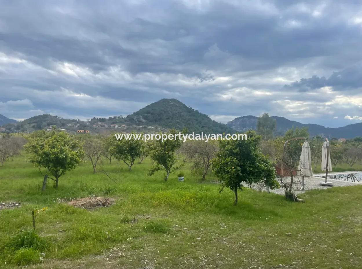 Dalyan Boutique Hotel For Sale Bungolevler For Sale In 11.000M2 Plot