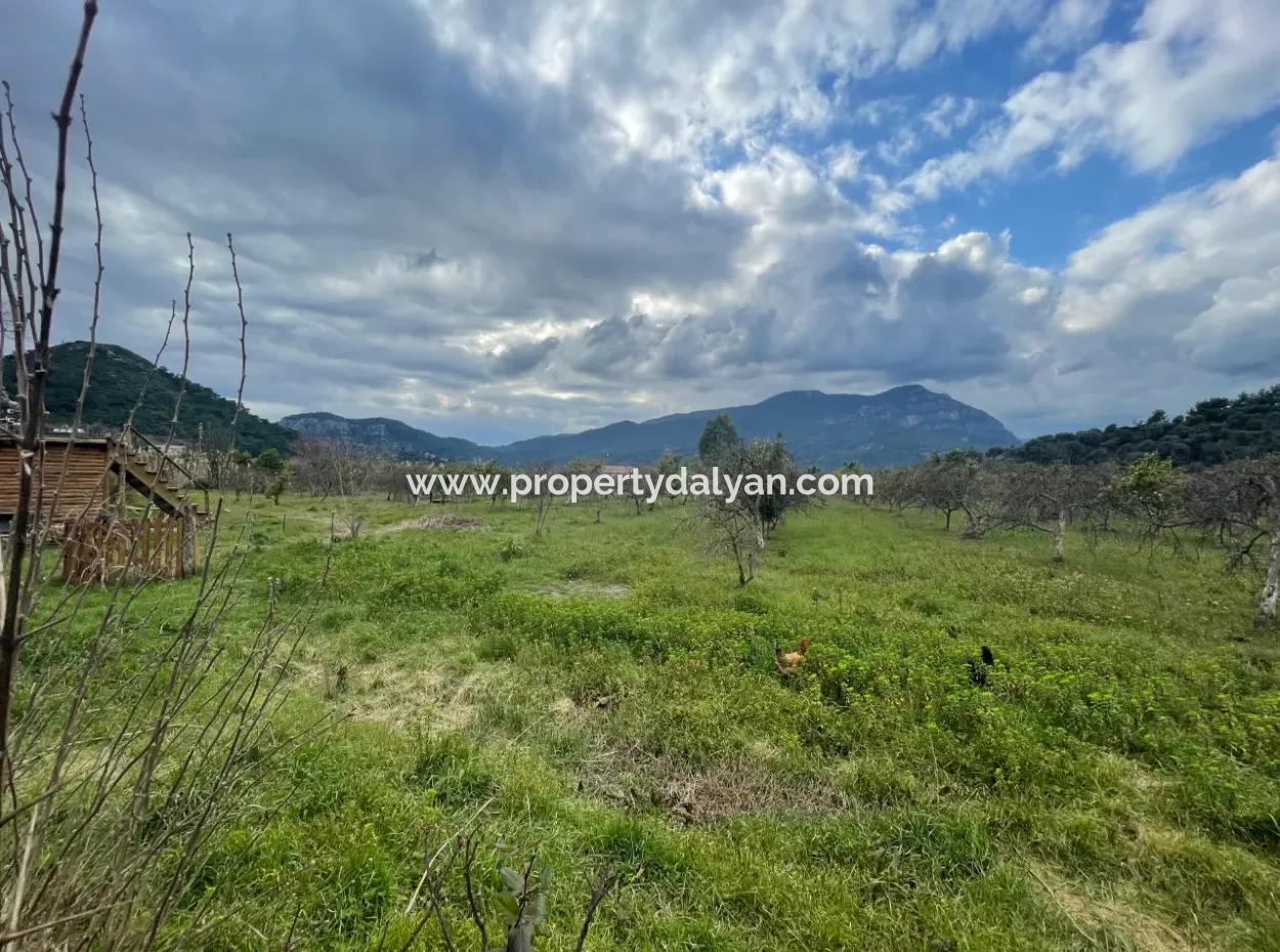 Dalyan Boutique Hotel For Sale Bungolevler For Sale In 11.000M2 Plot