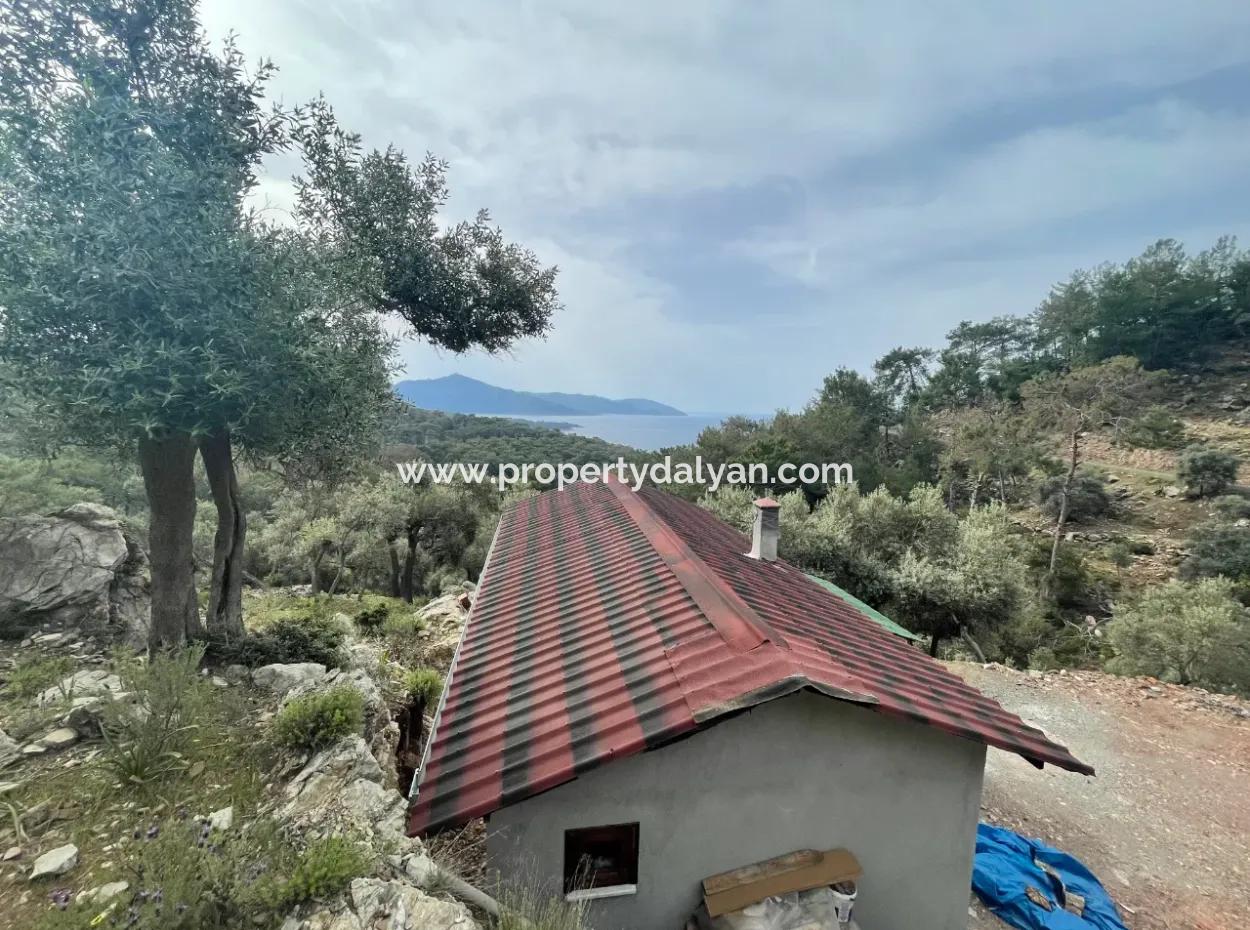Olive House With Sea View In Ekincik Is For Sale