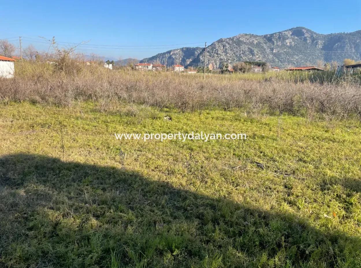 Dalyan 1000M2 Köşebaşı Land For Sale
