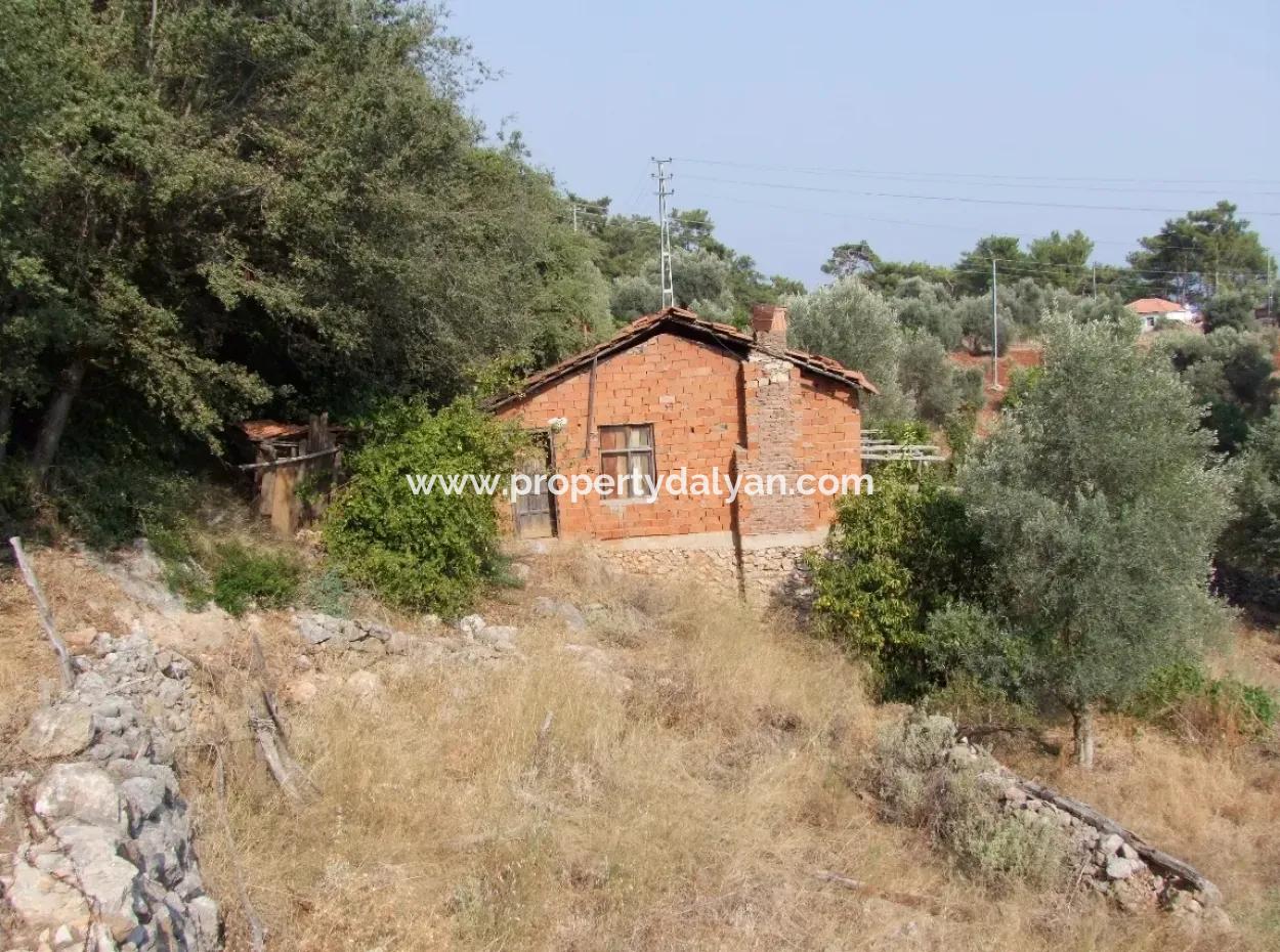 5000M2 Plot Of Land For Sale In Akyaka With Full Sea View House For Sale Kentucky