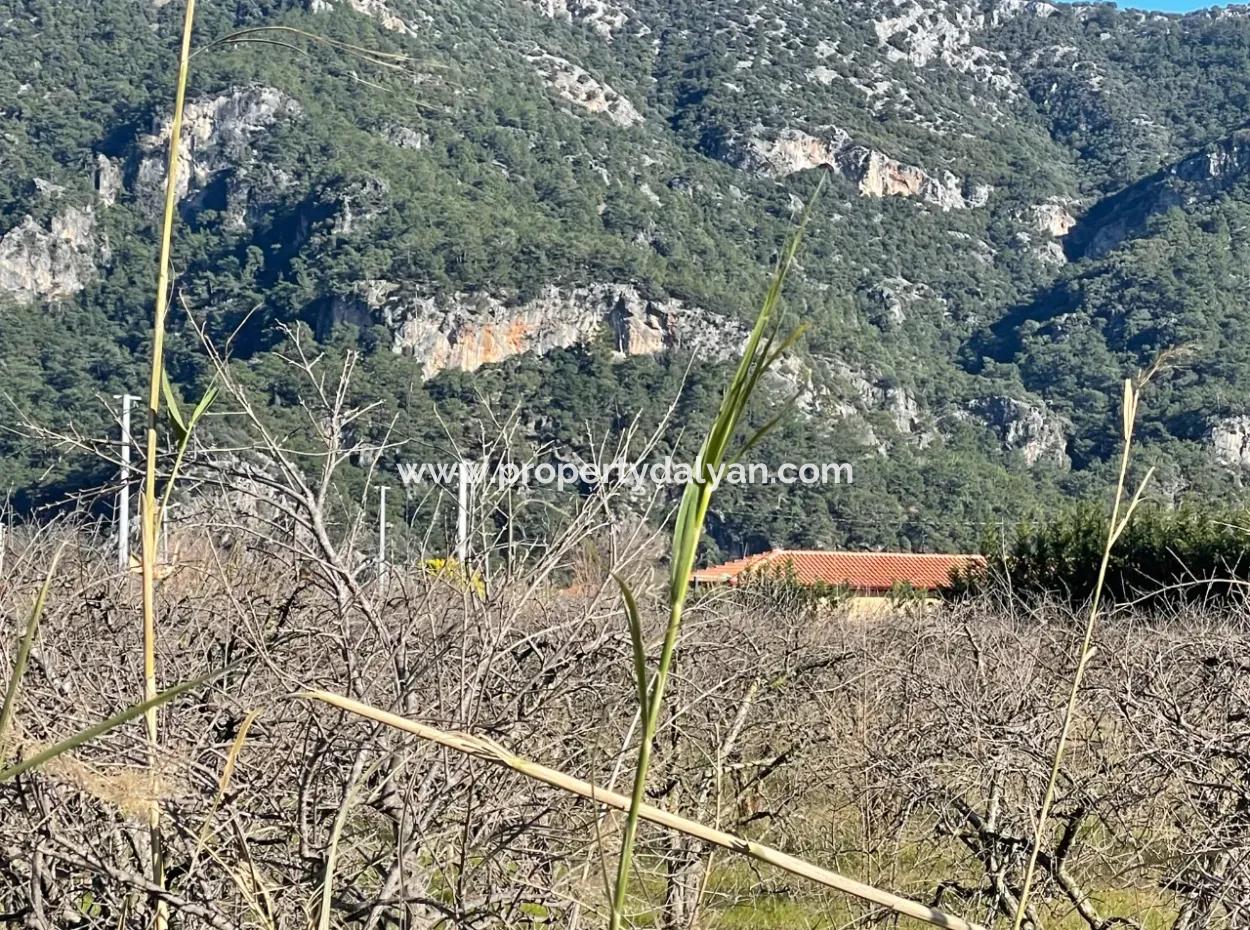 Dalyan Iztuzu Road Zero 5216M2 Field Plot For Sale