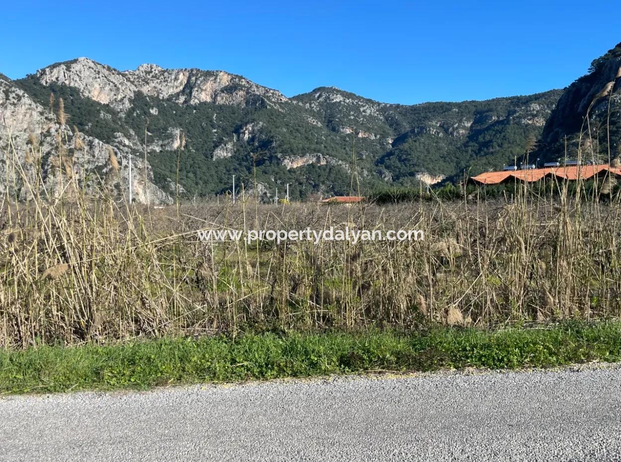 Dalyan Iztuzu Road Zero 5216M2 Field Plot For Sale