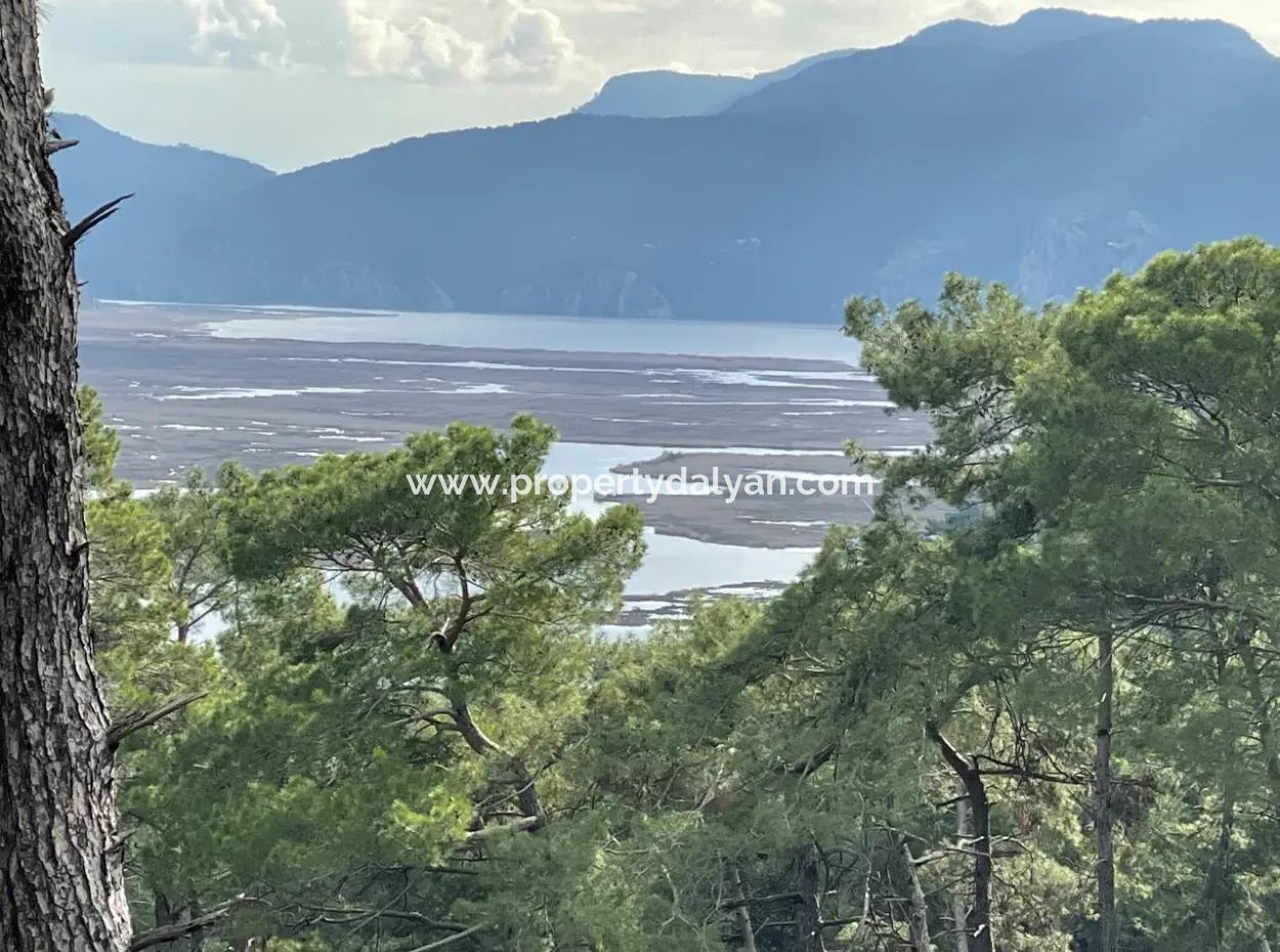 10,707M2 2B Field For Sale With Sea Lake View In Çandır
