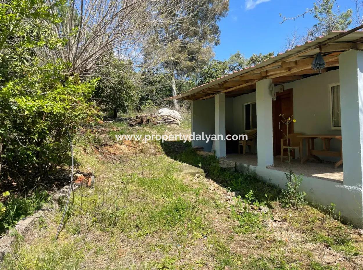 Village House For Sale In 5650M2 Field In Zeytinalann