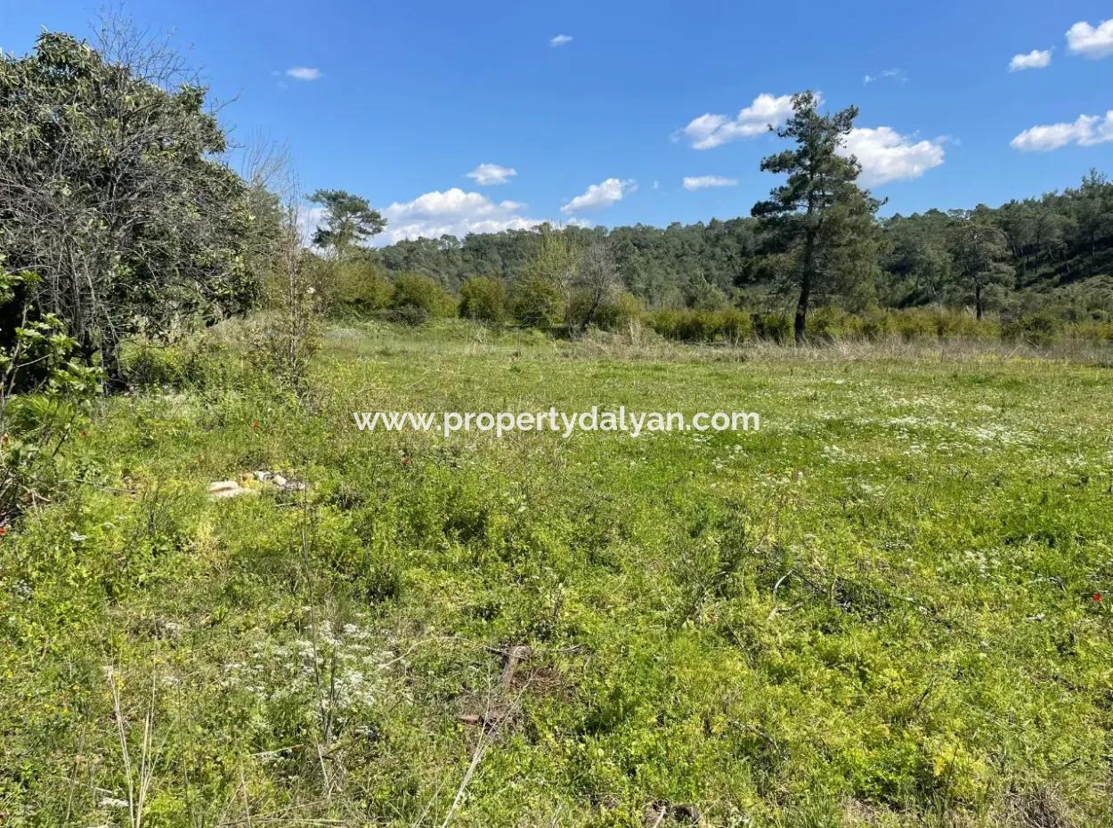 Village House For Sale In 5650M2 Field In Zeytinalann