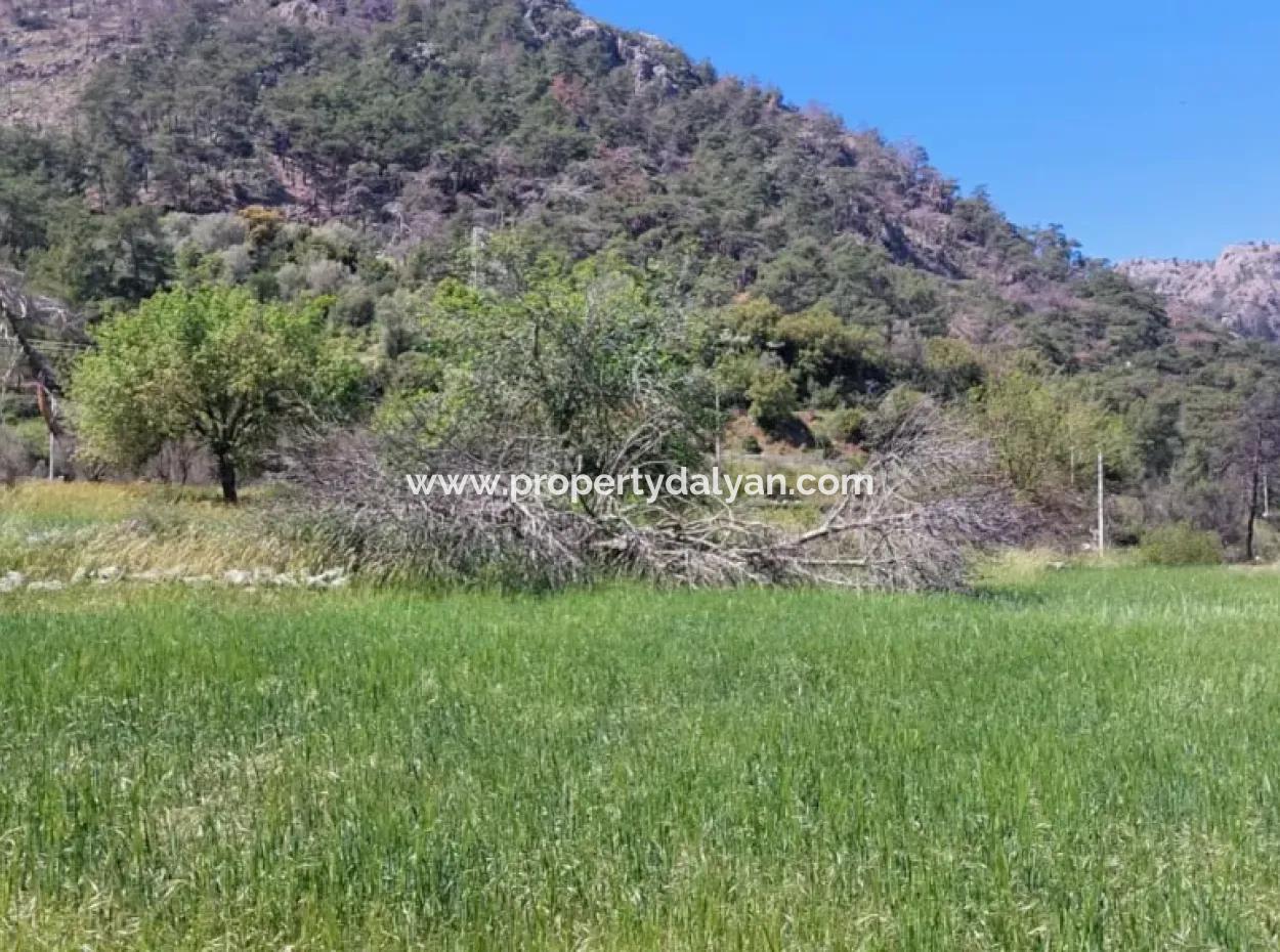 Marmaris Turgut Investment Land For Sale 29600M2 For Sale