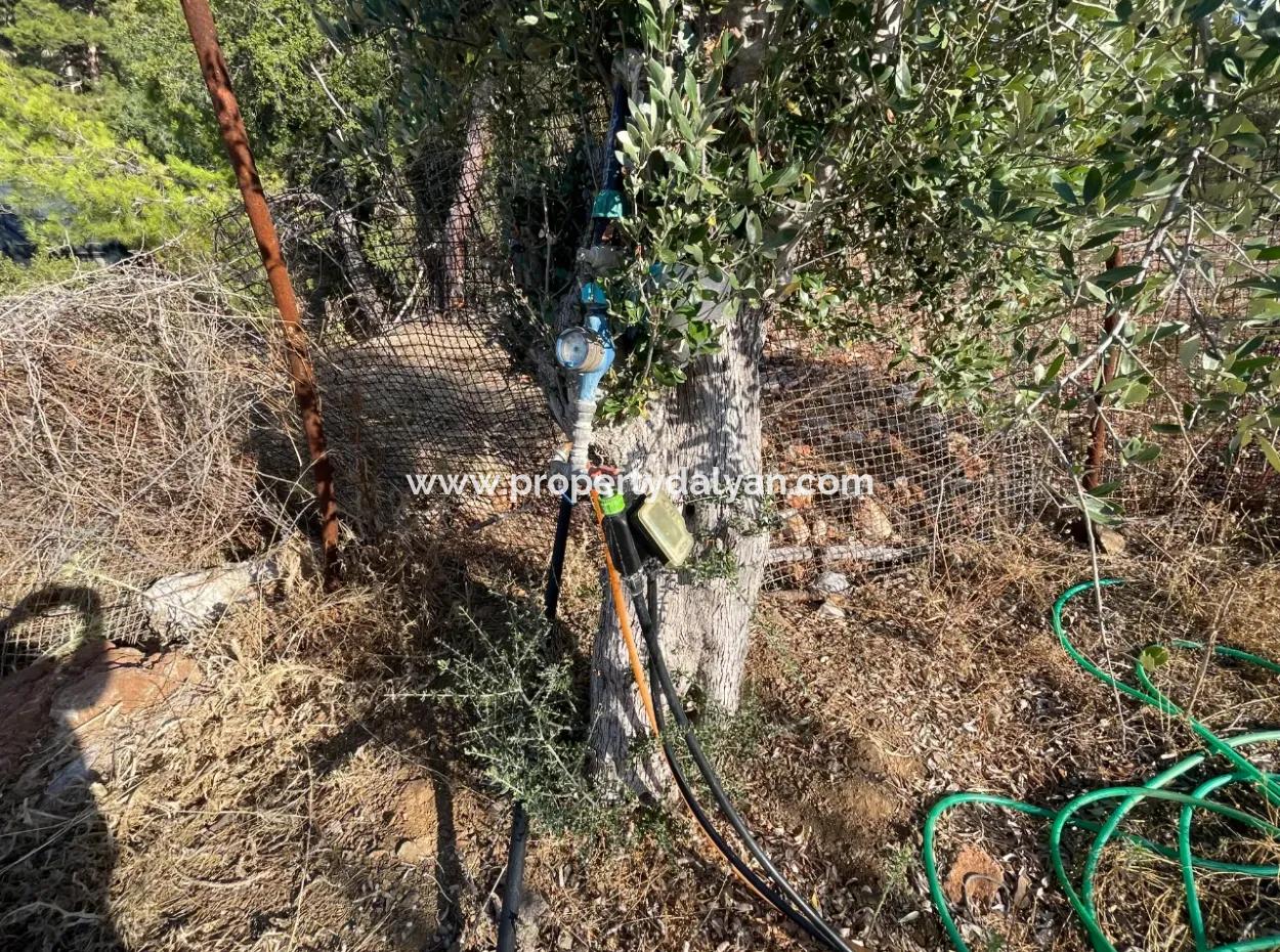 Çandır Full Sea And Lake View 500M2 2B Field For Sale