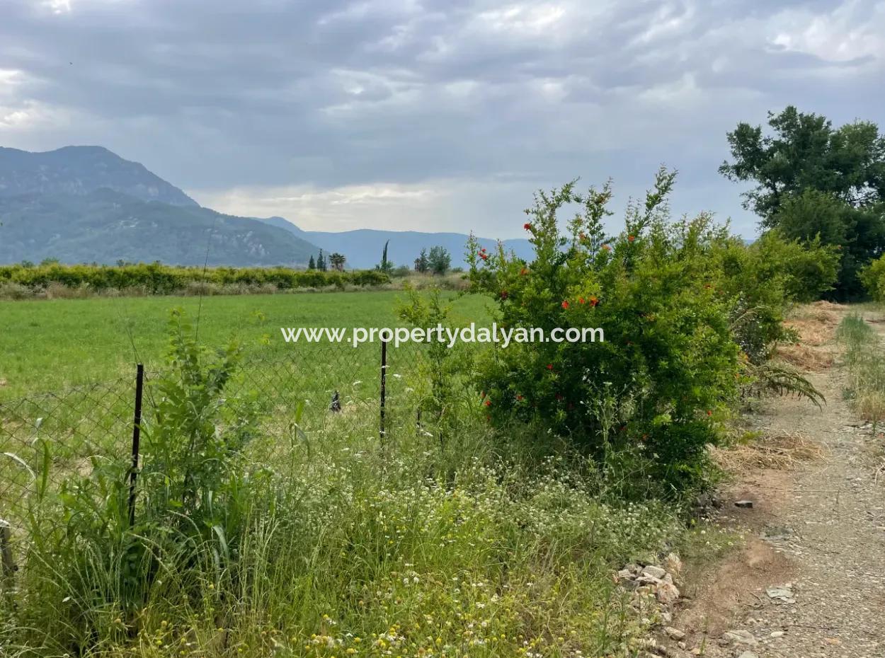 2,528M2 Field For Sale Near The Center Of Dalyan