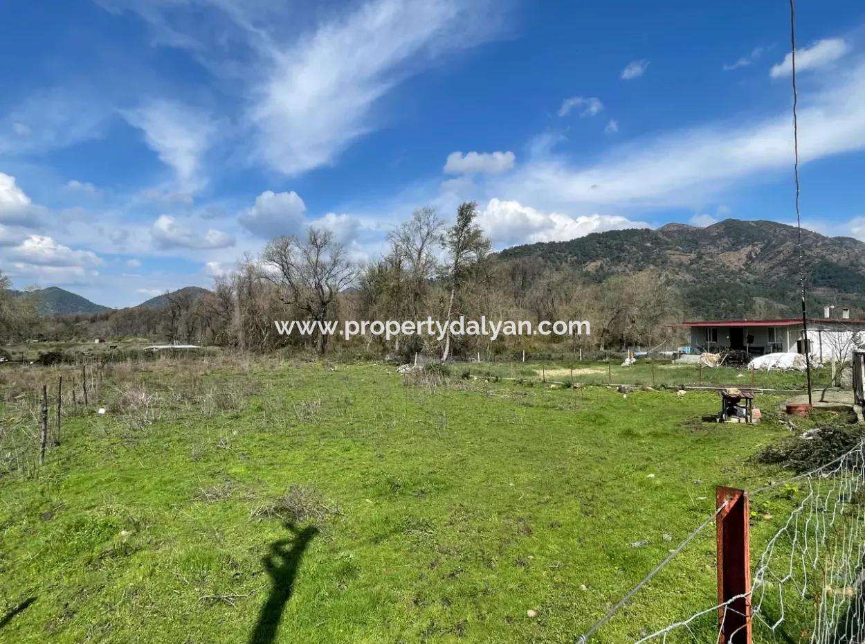 Sultaniye Büyükkaraç Mahallesin For Sale Field