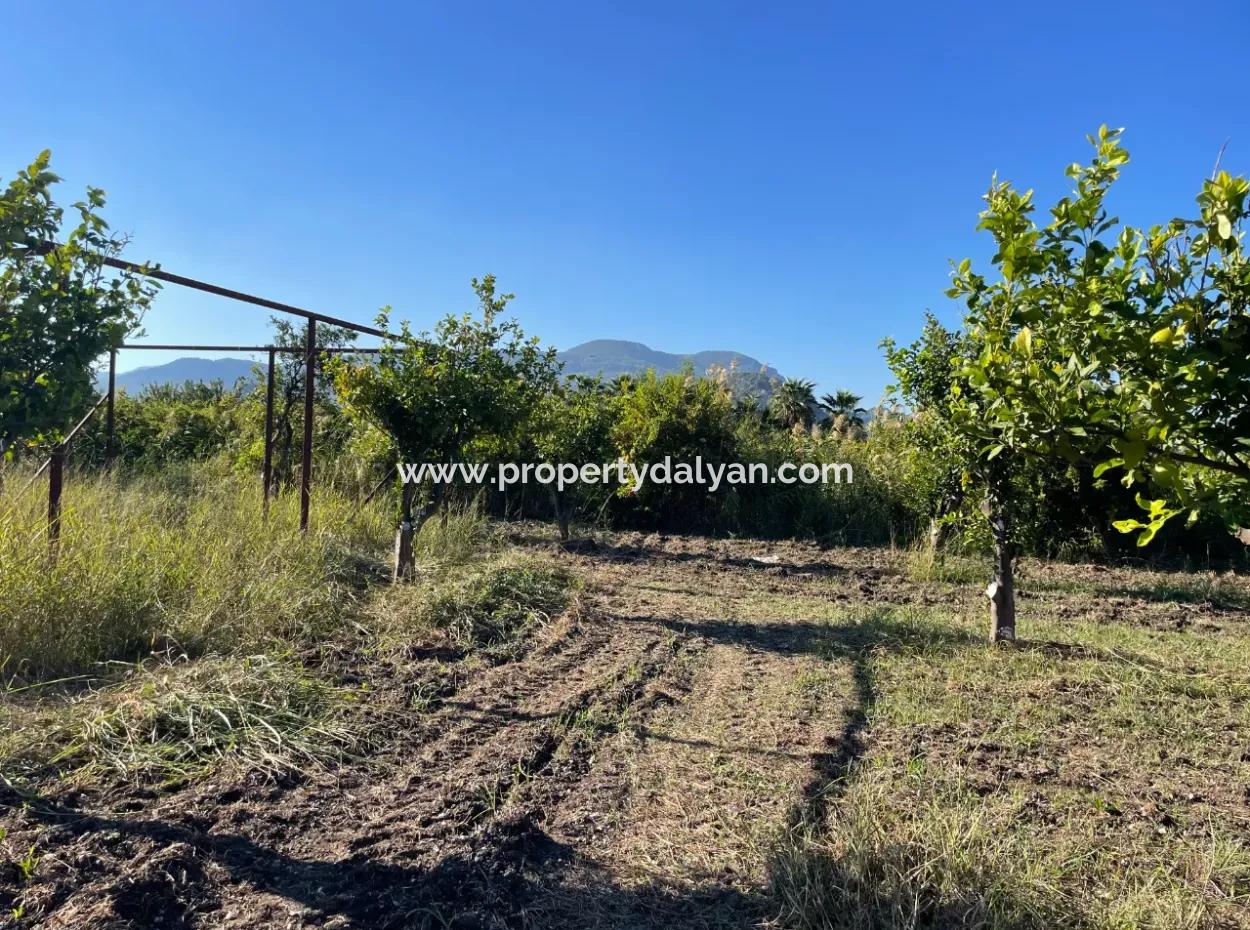 Land For Sale In Dalyan Close To The Center Of 6600M2