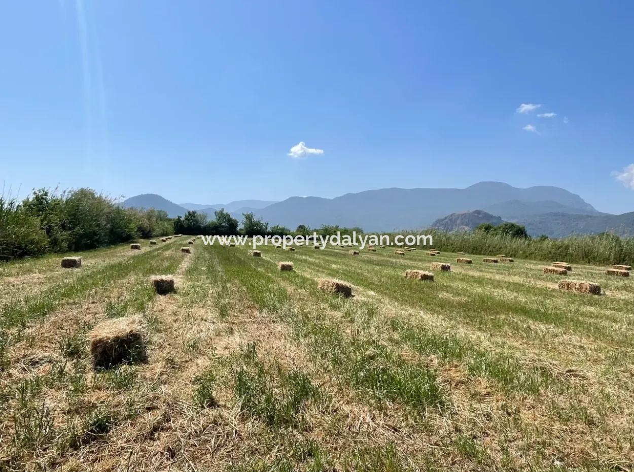 6,500M2 Field For Sale On The Iztuzu Road In Dalyan