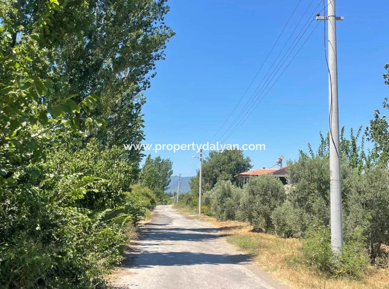 Road-New 6820M2 Pomegranate And Lemon Orchard Is For Sale In Tepearası