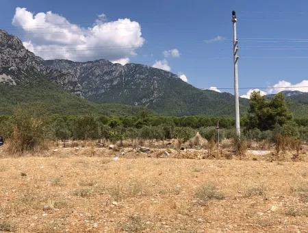 11.227M2 Land For Sale With Lake Views In Köyceğiz Zeytinalanı