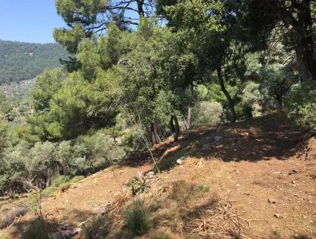 7034M2 Field For Sale With Sea View In Çandir