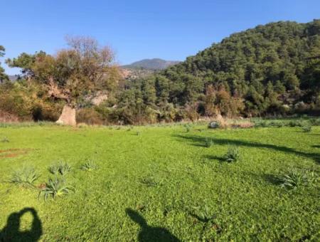 Ekincik Land For Sale 10,038M2 Land For Sale Field