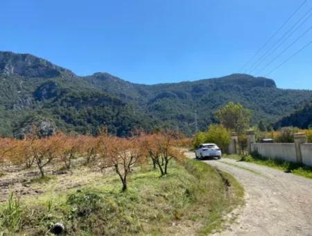 9310M2 Land For Sale In Dalyan