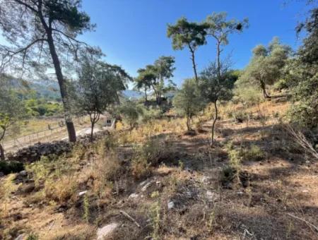 1,320M2 Field For Sale In Çandır Center By The Forest