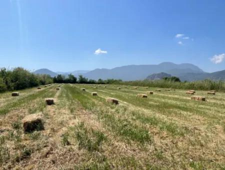 6,500M2 Field For Sale On The Iztuzu Road In Dalyan