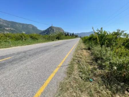 6,500M2 Field For Sale On The Iztuzu Road In Dalyan