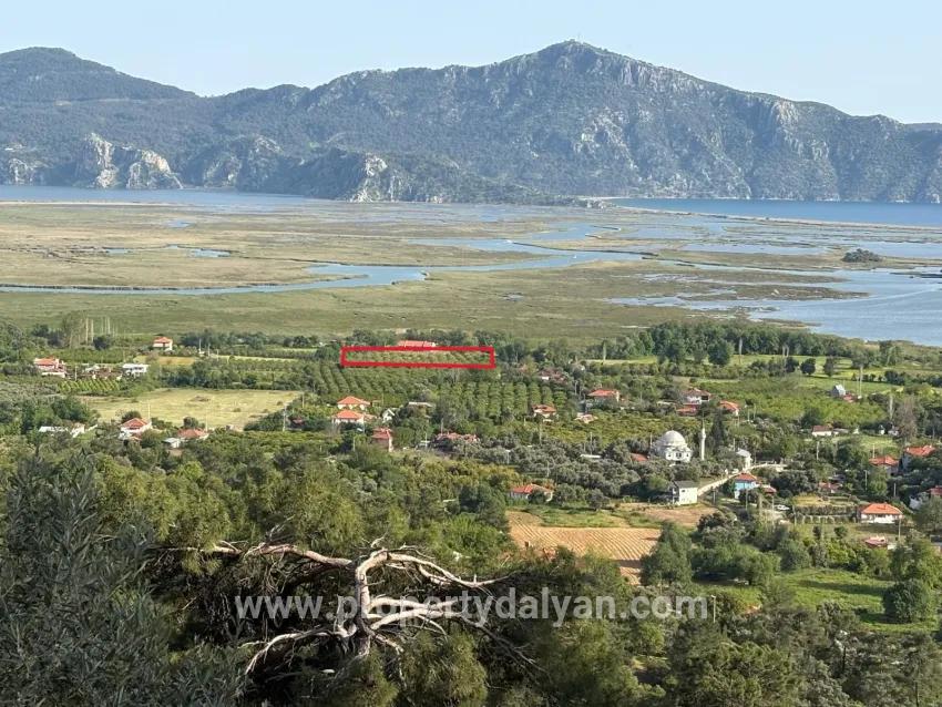 Для продажи Поле в Çandır Köyceğiz - Под Поле застройку - 1.252 m²