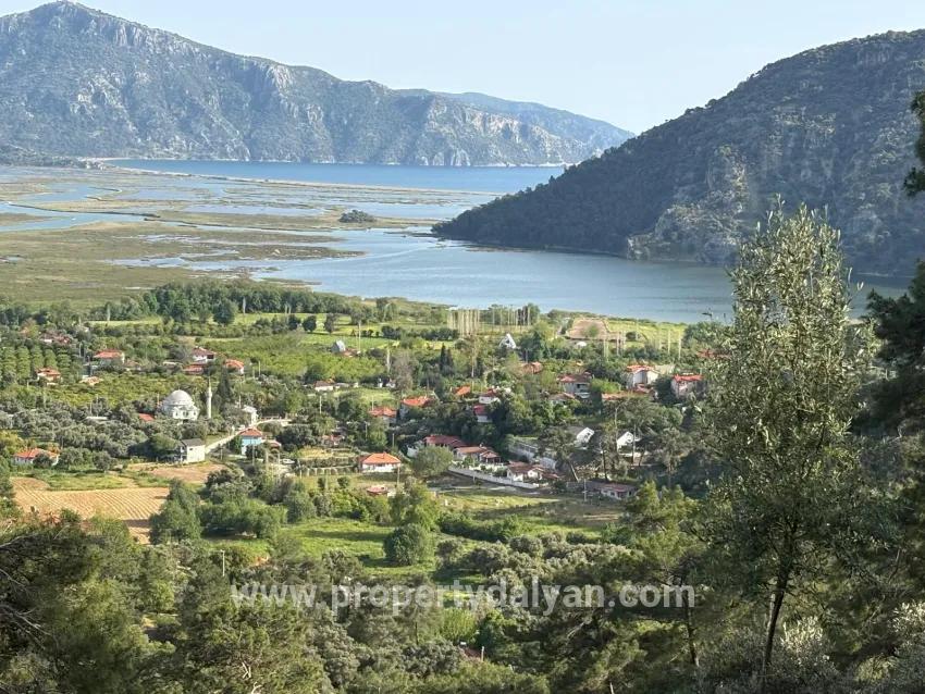 Для продажи Поле в Çandır Köyceğiz - Под Поле застройку - 1.252 m²