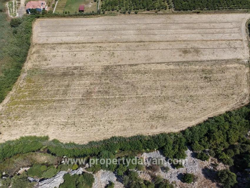 Для продажи Поле в Dalyan Ortaca - Под Поле застройку - 20.786 m²
