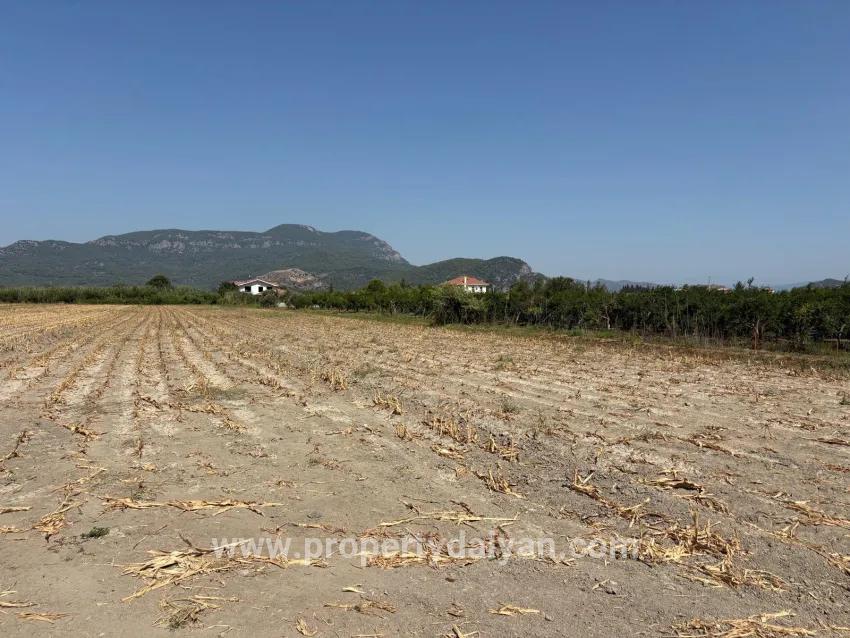Для продажи Поле в Dalyan Ortaca - Под Поле застройку - 20.786 m²