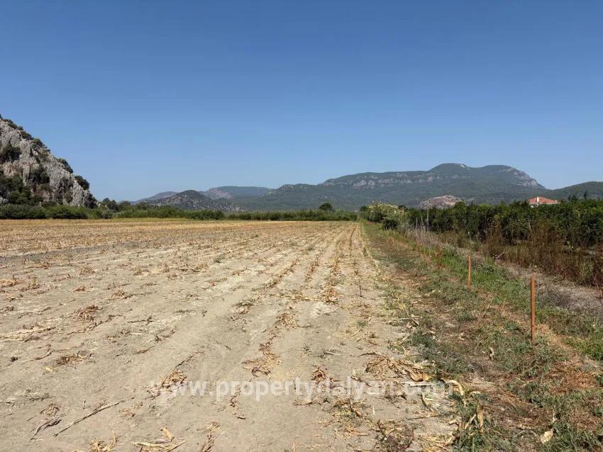 Для продажи Поле в Dalyan Ortaca - Под Поле застройку - 20.786 m²
