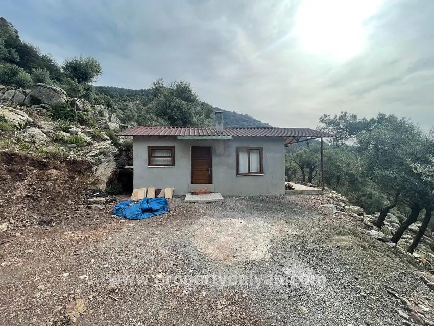 Для продажи Поле в Ekincik Köyceğiz - Под Оливковая роща застройку - 7.000 m²