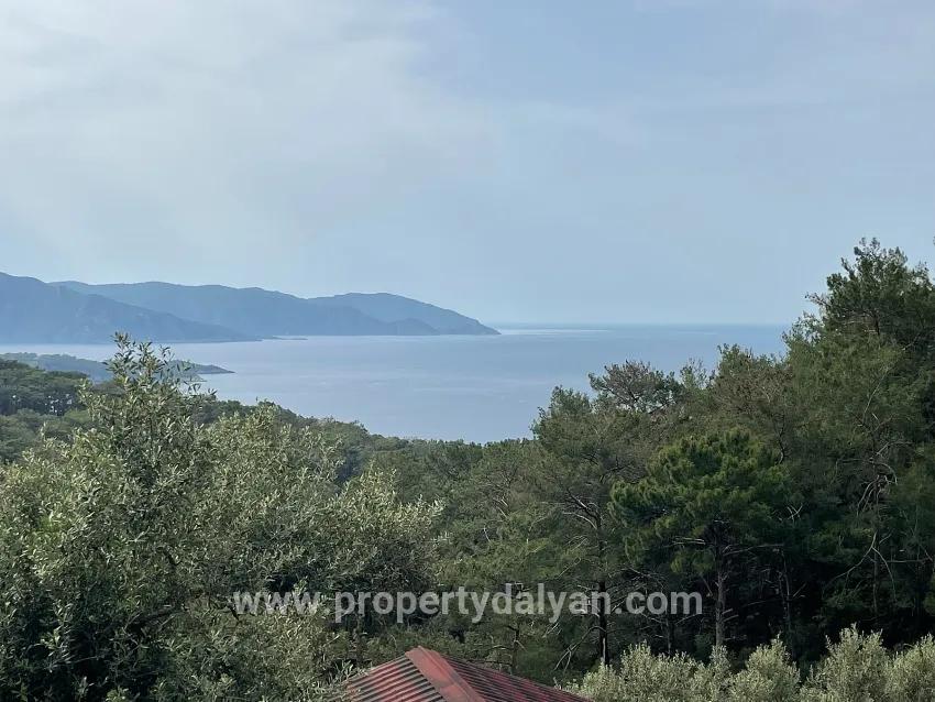 Для продажи Поле в Ekincik Köyceğiz - Под Оливковая роща застройку - 7.000 m²