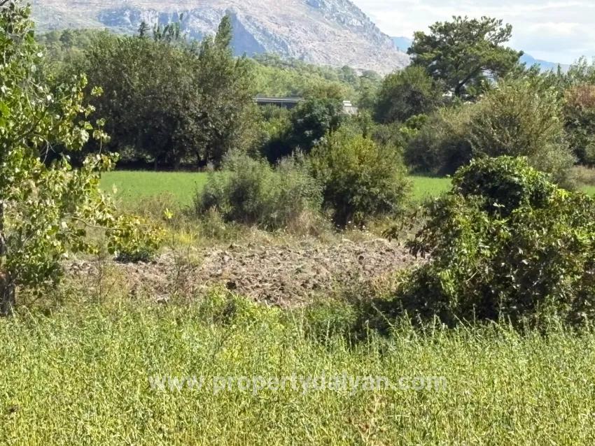 Для продажи Поле в Zeytinalanı Köyceğiz - Под Поле застройку - 10.500 m²
